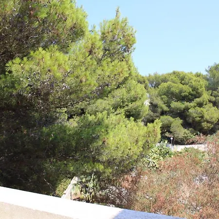 Pedaci Alojamento de Acomodação e Pequeno-almoço